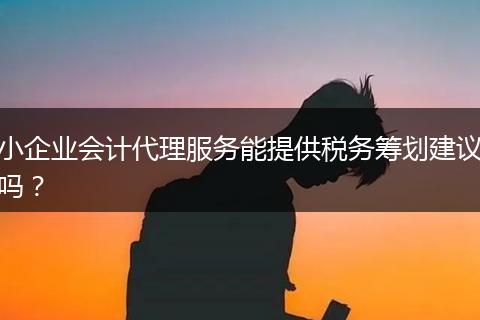 小企業(yè)會(huì)計(jì)代理服務(wù)能提供稅務(wù)籌劃建議嗎？