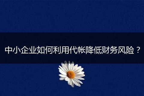 中小企業(yè)如何利用代帳降低財(cái)務(wù)風(fēng)險(xiǎn)?