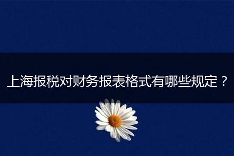 上海報稅對財務報表格式有哪些規(guī)定？