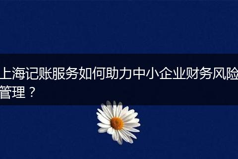 上海記賬服務如何助力中小企業(yè)財務風險管理？