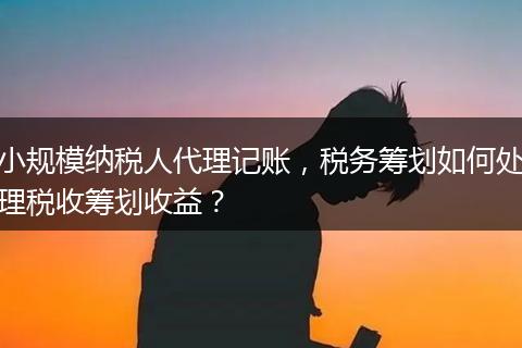 小規(guī)模納稅人代理記賬，稅務(wù)籌劃如何處理稅收籌劃收益？