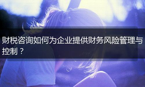 財(cái)稅咨詢?nèi)绾螢槠髽I(yè)提供財(cái)務(wù)風(fēng)險(xiǎn)管理與控制？