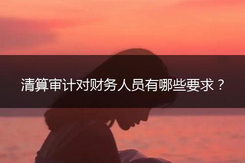 清算審計(jì)對財(cái)務(wù)人員有哪些要求？