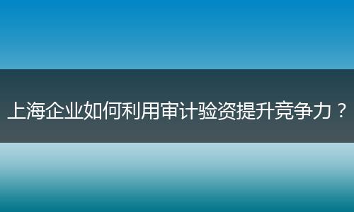 上海企業(yè)如何利用審計(jì)驗(yàn)資提升競爭力？