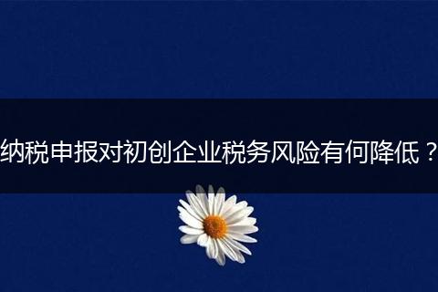 納稅申報對初創(chuàng)企業(yè)稅務風險有何降低?
