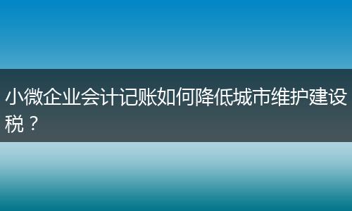 小微企業(yè)會計記賬如何降低城市維護(hù)建設(shè)稅？