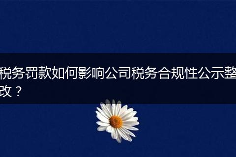 稅務(wù)罰款如何影響公司稅務(wù)合規(guī)性公示整改？