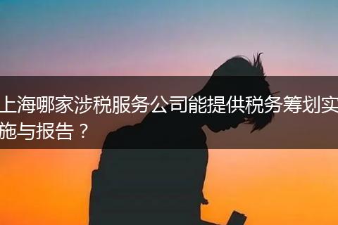 上海哪家涉稅服務公司能提供稅務籌劃實施與報告？