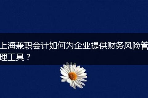 上海兼職會(huì)計(jì)如何為企業(yè)提供財(cái)務(wù)風(fēng)險(xiǎn)管理工具？