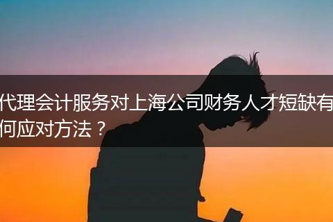 代理會計服務(wù)對上海公司財務(wù)人才短缺有何應(yīng)對方法？