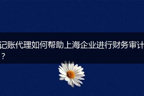 記賬代理如何幫助上海企業(yè)進(jìn)行財(cái)務(wù)審計(jì)？