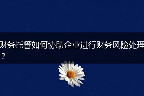財務托管如何協(xié)助企業(yè)進行財務風險處理?
