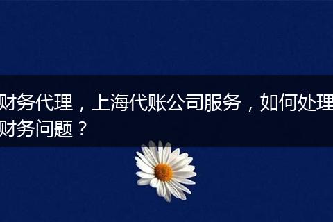 財(cái)務(wù)代理，上海代賬公司服務(wù)，如何處理財(cái)務(wù)問題？