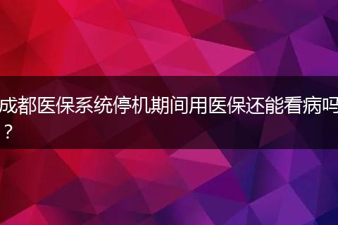 成都醫(yī)保系統(tǒng)停機(jī)期間用醫(yī)保還能看病嗎？