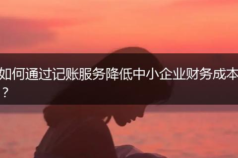 如何通過記賬服務(wù)降低中小企業(yè)財務(wù)成本？
