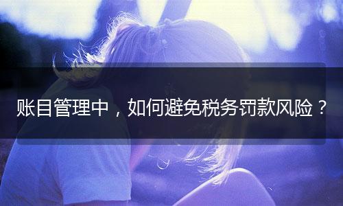 賬目管理中，如何避免稅務(wù)罰款風(fēng)險？