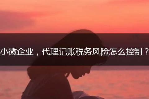 小微企業(yè)，代理記賬稅務(wù)風(fēng)險(xiǎn)怎么控制？