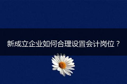 新成立企業(yè)如何合理設(shè)置會計崗位?