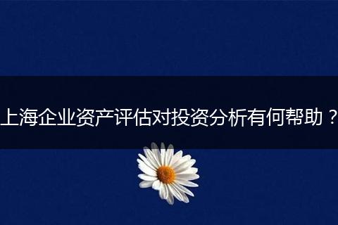 上海企業(yè)資產(chǎn)評估對投資分析有何幫助？