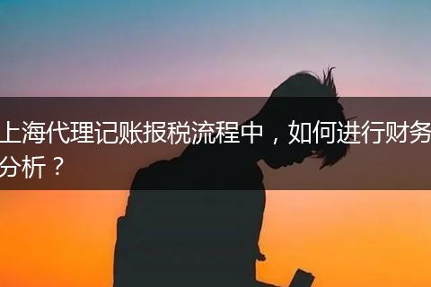 上海代理記賬報(bào)稅流程中，如何進(jìn)行財(cái)務(wù)分析？