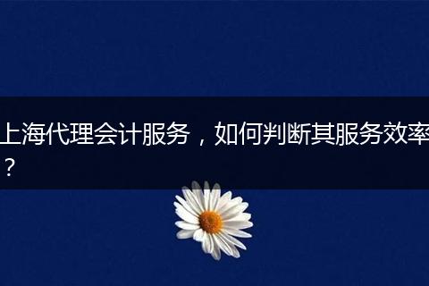 上海代理會(huì)計(jì)服務(wù)，如何判斷其服務(wù)效率？