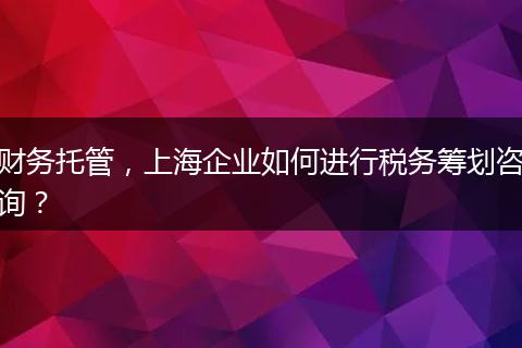 財務(wù)托管，上海企業(yè)如何進行稅務(wù)籌劃咨詢？