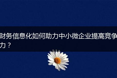 財(cái)務(wù)信息化如何助力中小微企業(yè)提高競(jìng)爭(zhēng)力？