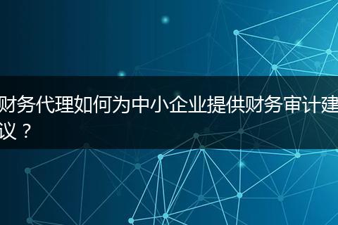 財(cái)務(wù)代理如何為中小企業(yè)提供財(cái)務(wù)審計(jì)建議？