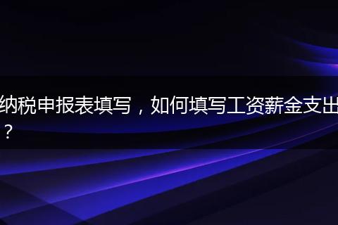 納稅申報(bào)表填寫(xiě)，如何填寫(xiě)工資薪金支出？