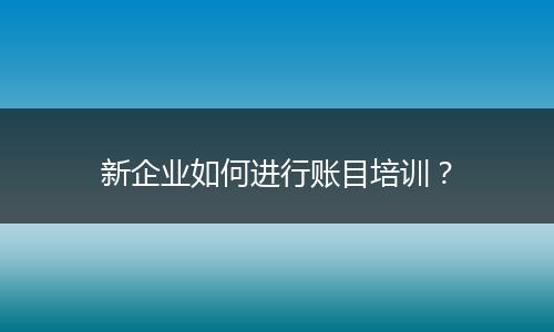 新企業(yè)如何進行賬目培訓?