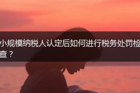 小規(guī)模納稅人認定后如何進行稅務處罰檢查？