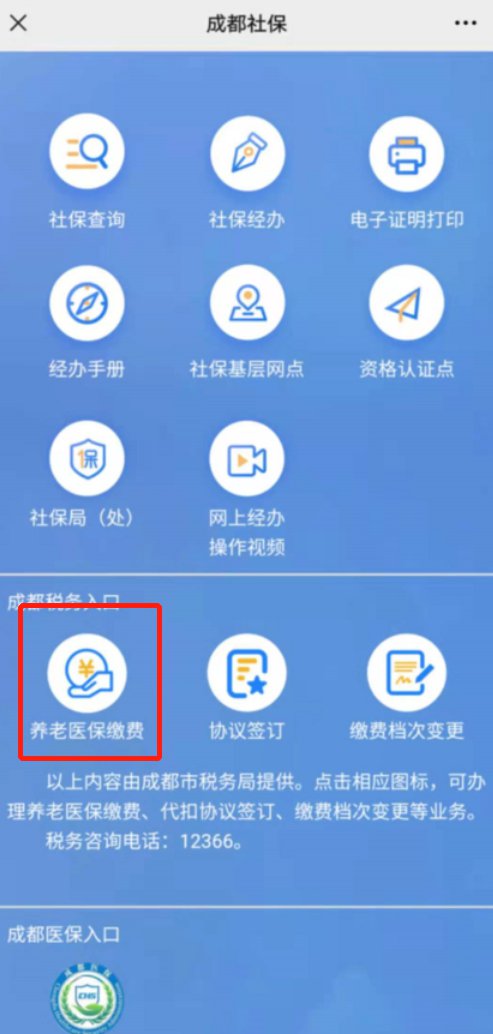 怎么在手機(jī)上進(jìn)行醫(yī)保繳費(fèi)？