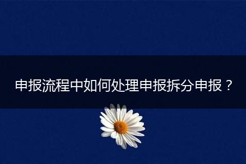 申報流程中如何處理申報拆分申報？