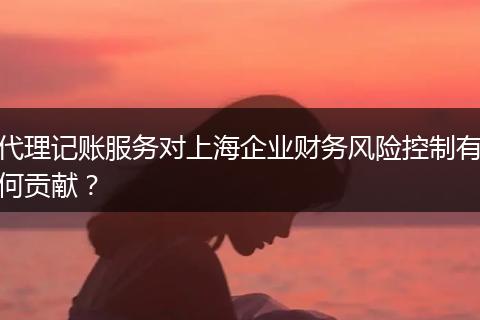 代理記賬服務(wù)對(duì)上海企業(yè)財(cái)務(wù)風(fēng)險(xiǎn)控制有何貢獻(xiàn)？
