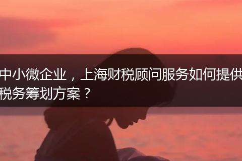 中小微企業(yè)，上海財(cái)稅顧問服務(wù)如何提供稅務(wù)籌劃方案？