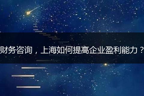 財務咨詢，上海如何提高企業(yè)盈利能力？