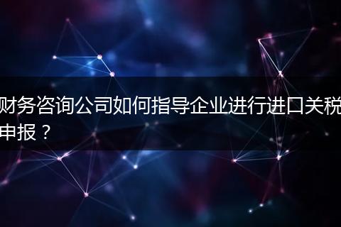 財務咨詢公司如何指導企業(yè)進行進口關稅申報？