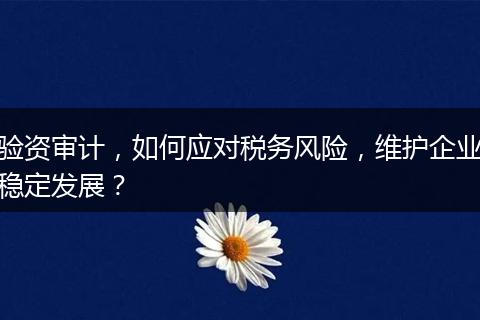 驗(yàn)資審計，如何應(yīng)對稅務(wù)風(fēng)險，維護(hù)企業(yè)穩(wěn)定發(fā)展？