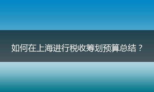 如何在上海進(jìn)行稅收籌劃預(yù)算總結(jié)？