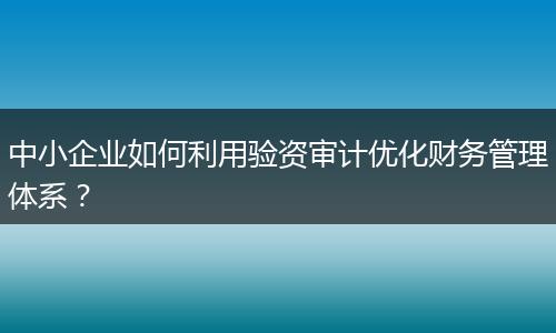 中小企業(yè)如何利用驗(yàn)資審計(jì)優(yōu)化財(cái)務(wù)管理體系？