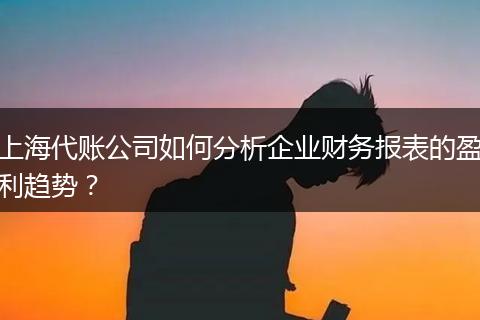 上海代賬公司如何分析企業(yè)財(cái)務(wù)報(bào)表的盈利趨勢(shì)？