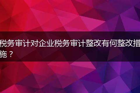 稅務審計對企業(yè)稅務審計整改有何整改措施？