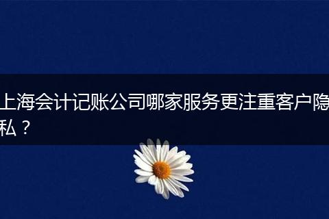 上海會(huì)計(jì)記賬公司哪家服務(wù)更注重客戶隱私？