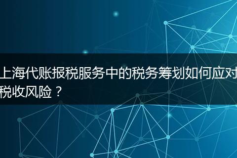 上海代賬報稅服務(wù)中的稅務(wù)籌劃如何應(yīng)對稅收風(fēng)險?
