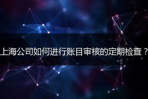 上海公司如何進(jìn)行賬目審核的定期檢查？