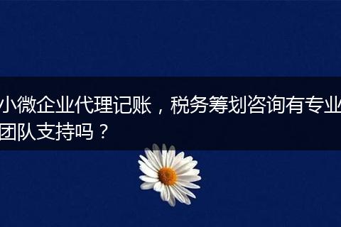 小微企業(yè)代理記賬，稅務籌劃咨詢有專業(yè)團隊支持嗎？