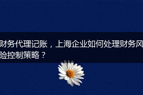 財(cái)務(wù)代理記賬，上海企業(yè)如何處理財(cái)務(wù)風(fēng)險(xiǎn)控制策略？