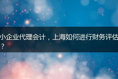 小企業(yè)代理會計(jì)，上海如何進(jìn)行財(cái)務(wù)評估？