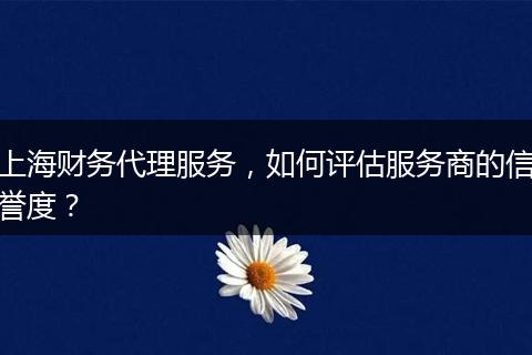 上海財(cái)務(wù)代理服務(wù)，如何評(píng)估服務(wù)商的信譽(yù)度？