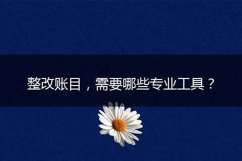 整改賬目，需要哪些專業(yè)工具？